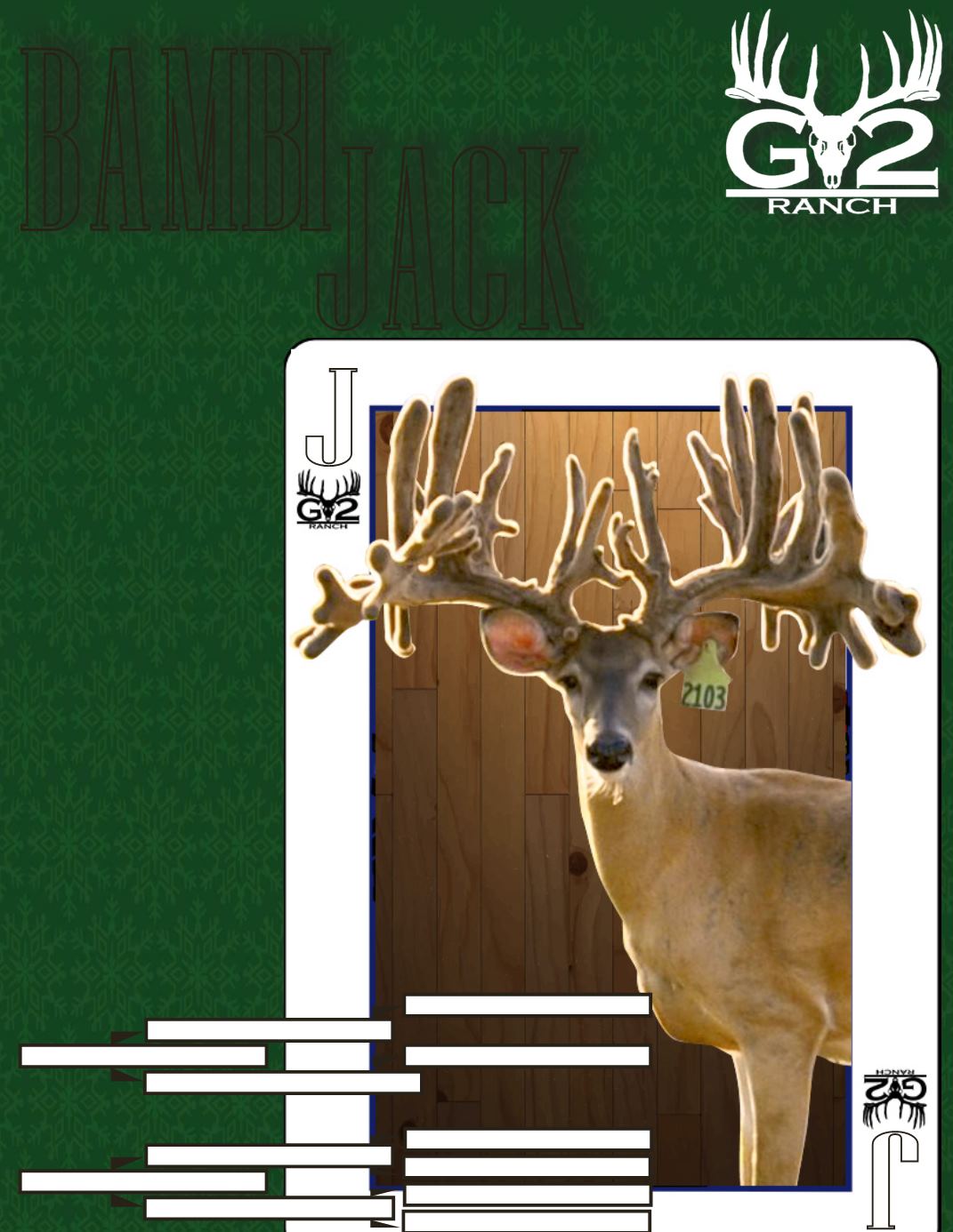 DVAuction Online Catalogs